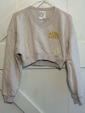 OFFLINE by‎ Aerie XXS Maybe Later Cropped V-Neck Sweatshirt Oatmeal
